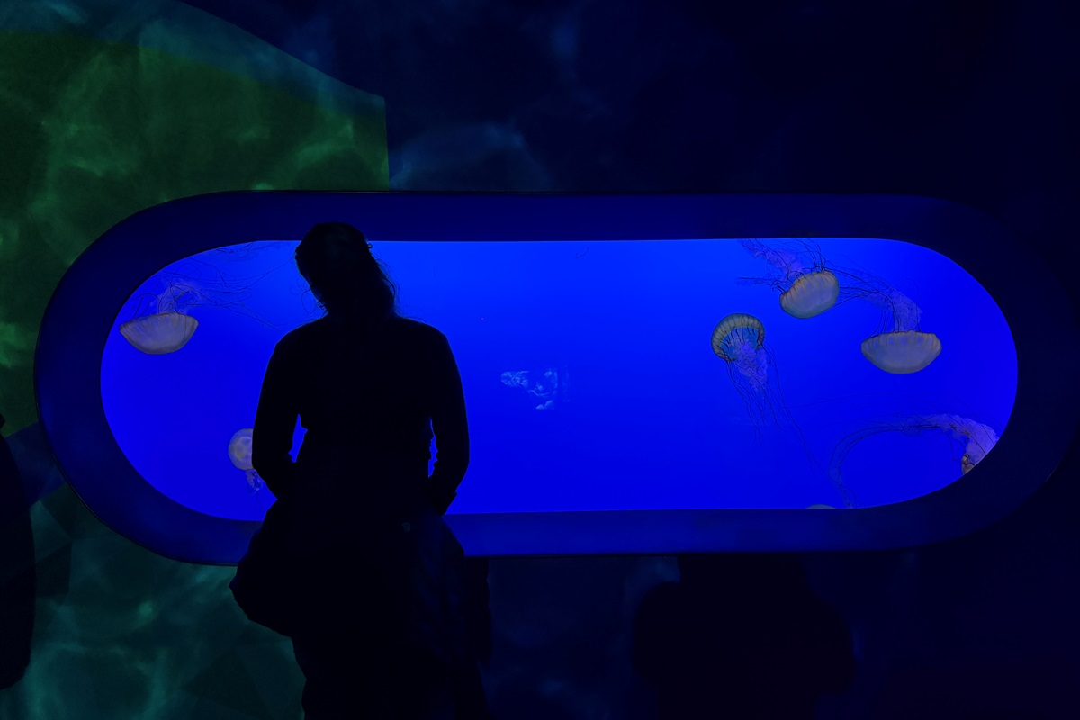 Ripley's in Gatlinburg, TN