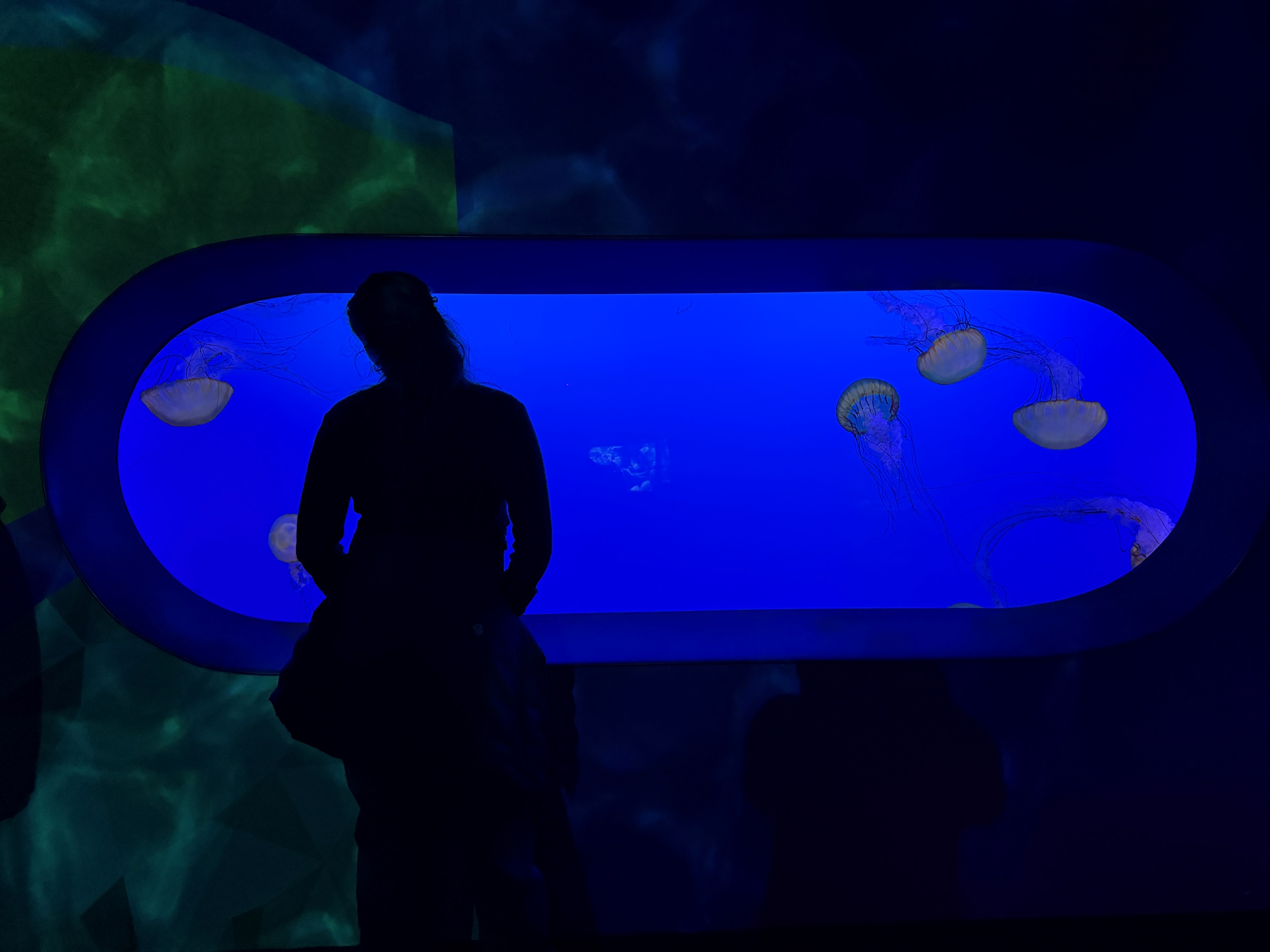 Ripley's in Gatlinburg, TN