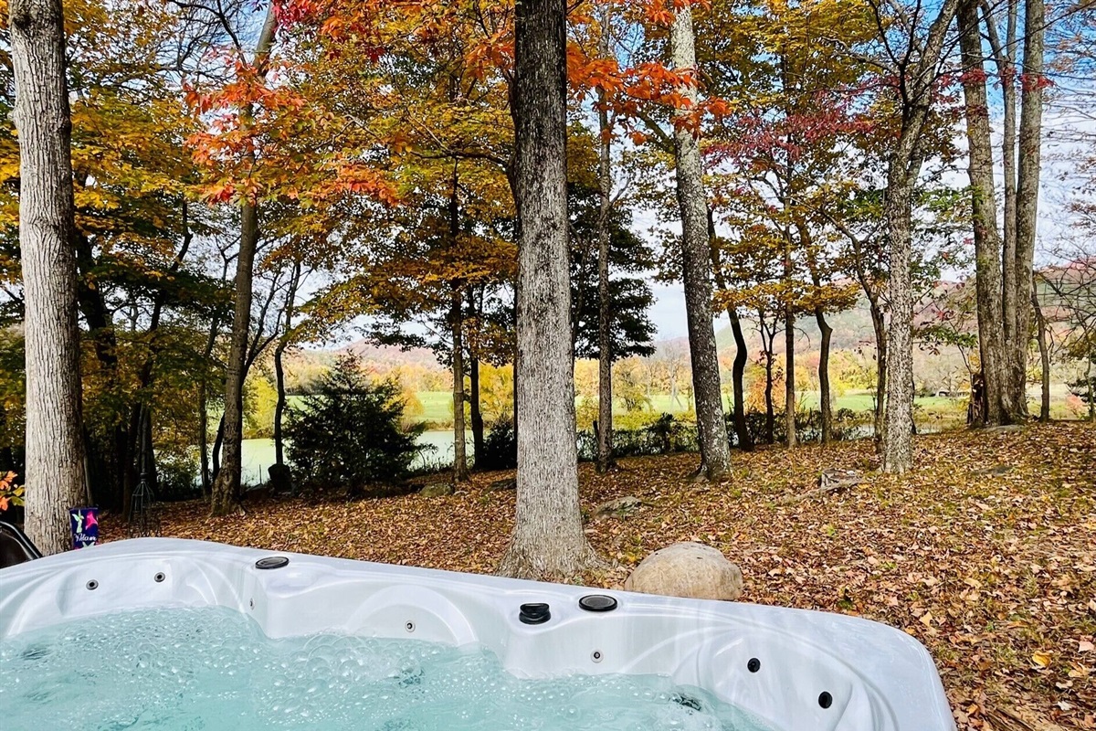 View from the hot tub during Fall