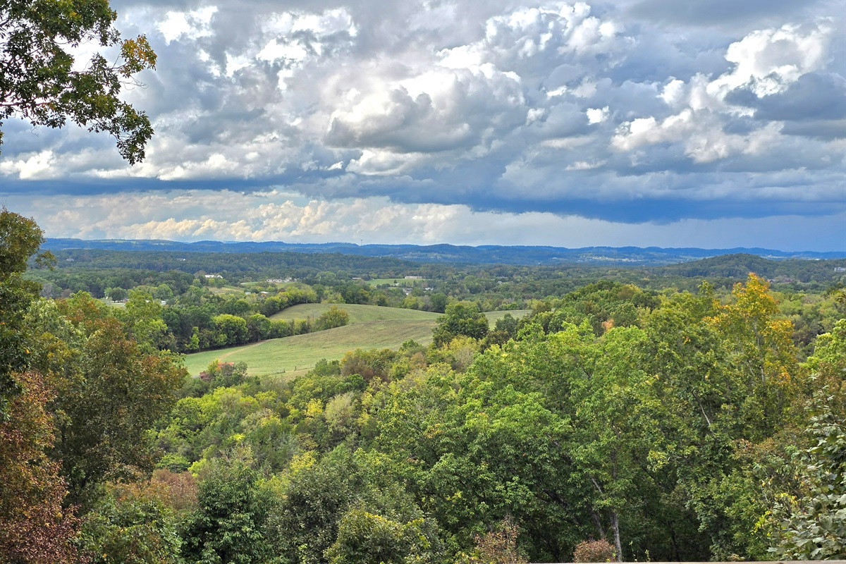 View out Back