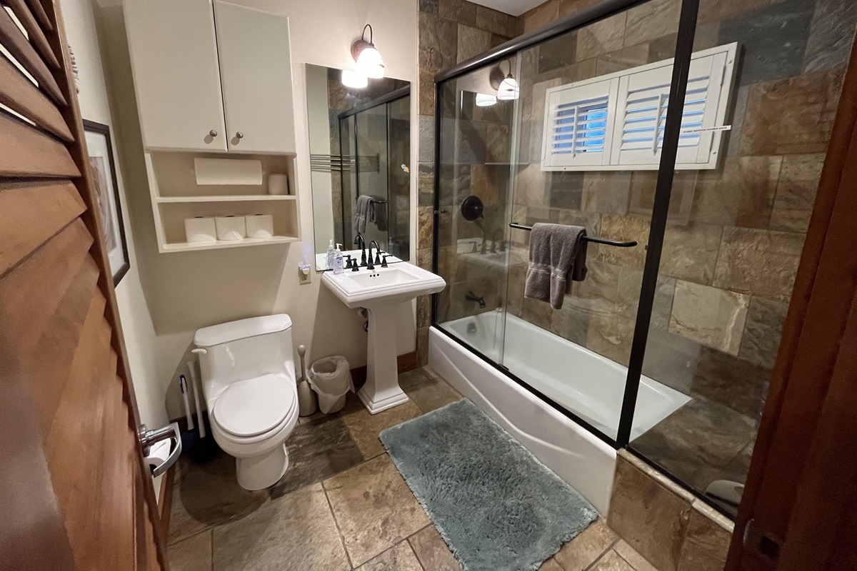 Downstairs full bathroom (2)