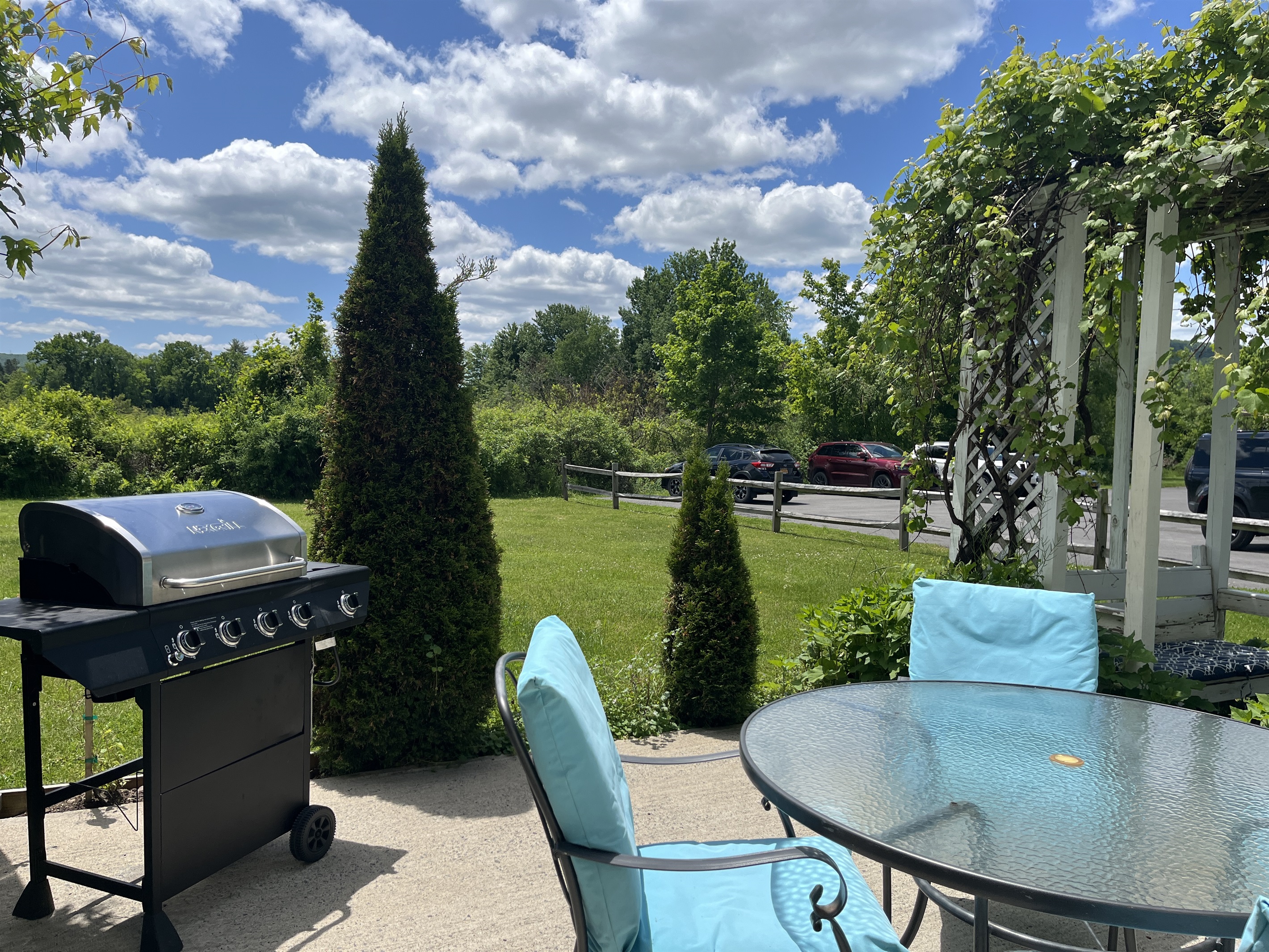 Patio and grill area