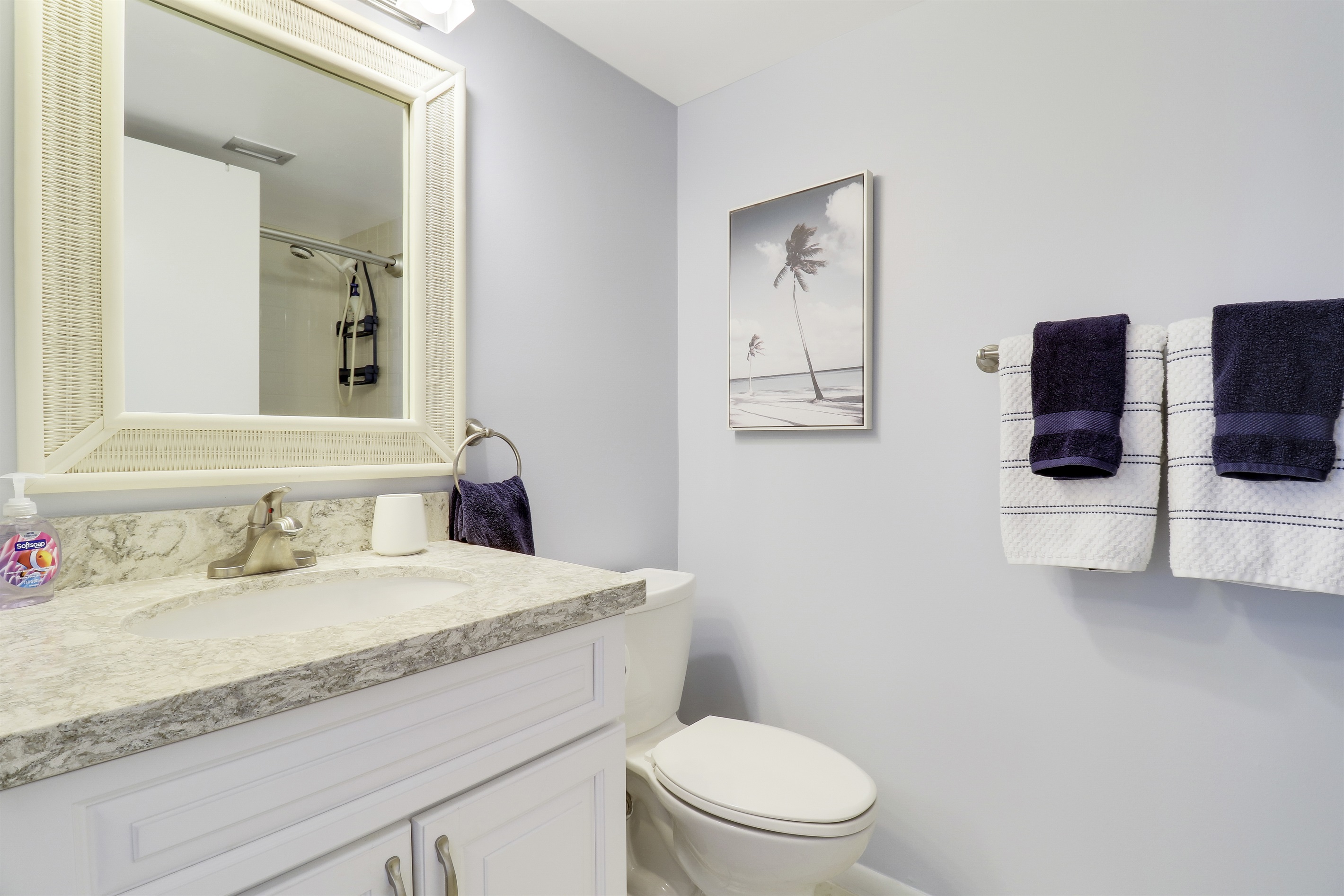 Queen En-Suite, tub/shower combo