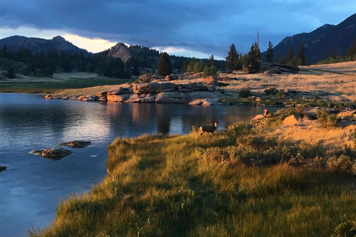 Eleven Mile State Park in Lake George
fishing, Boating & Hiking