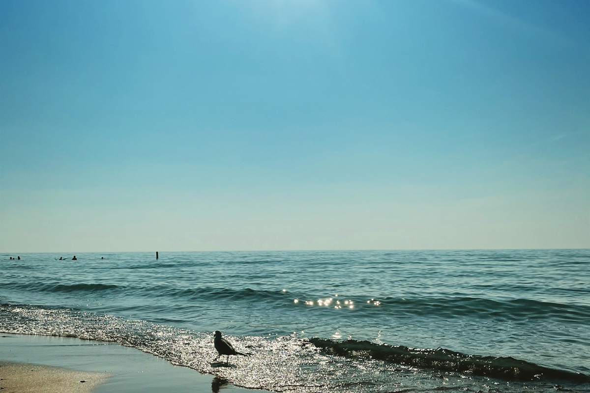 Lake Michigan at Warren Dunes State Park! If you're looking for miles of Lake Michigan beaches, the largest sand dunes in SWMI and a fun filled day at the beach, this is a must visit location! 