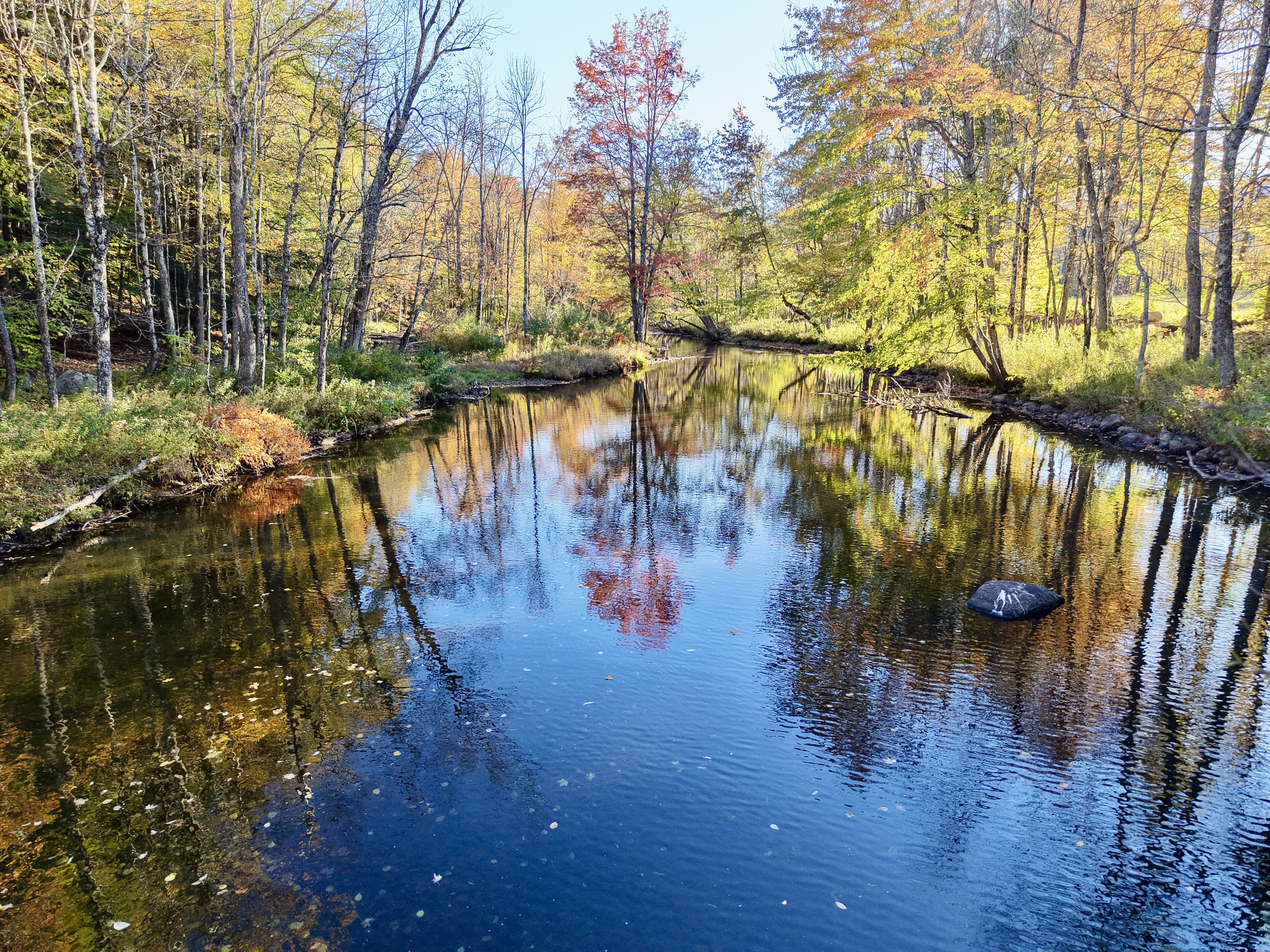 Enjoy a cold plunge in The Black River. Highly recommend packing sandles or water shoes so you don't miss out. Or bring your fishing rod. 