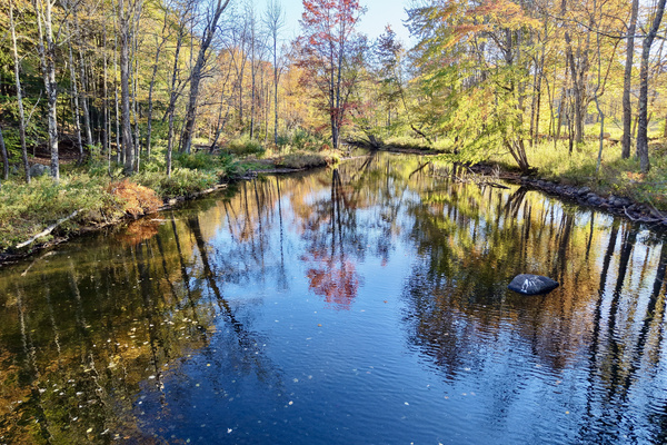 Enjoy a cold plunge in The Black River. Highly recommend packing sandles or water shoes so you don't miss out. Or bring your fishing rod. 