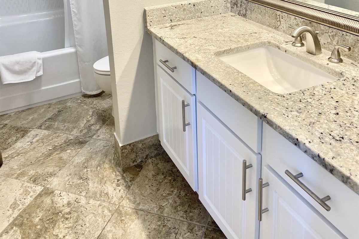 Master bathroom with tub/shower combination