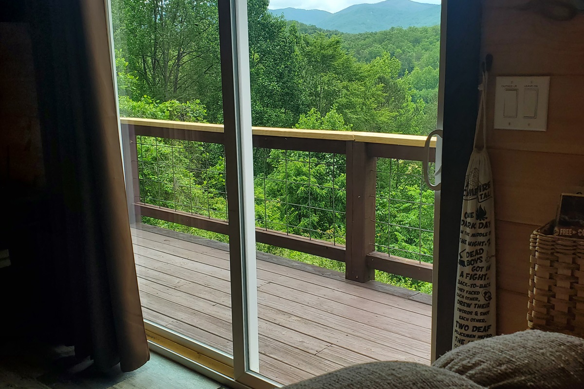 View from the living room chair