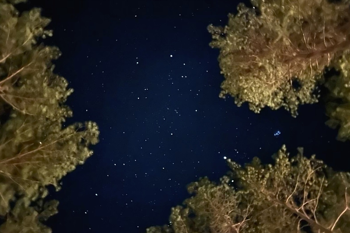 Marvel at the night sky and enjoy breathtaking stargazing views