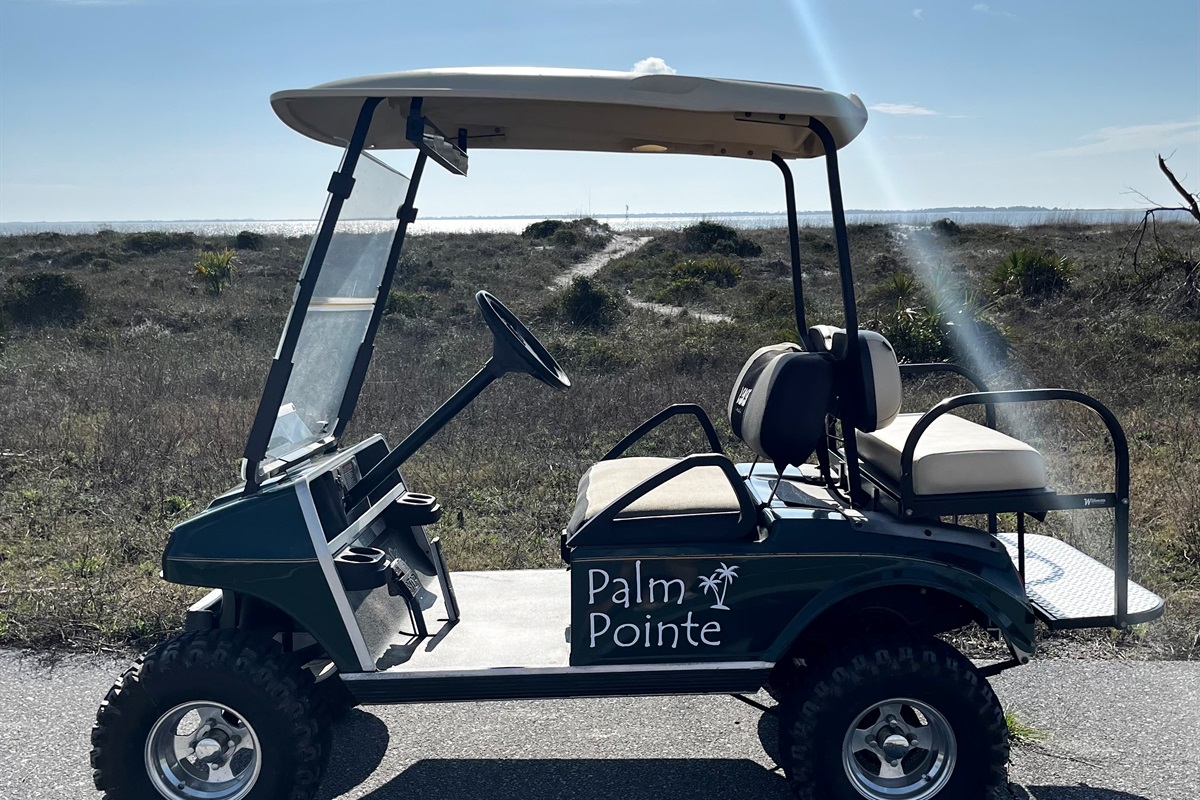 Palm Pointe Custom Golf Cart