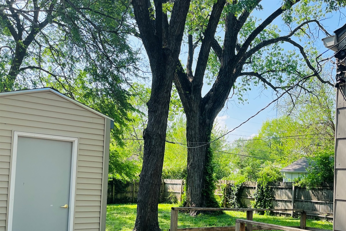 The house is full of nature.