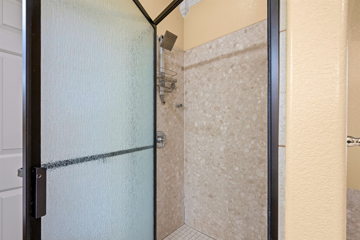 Walk-in shower with glass door in master suite.