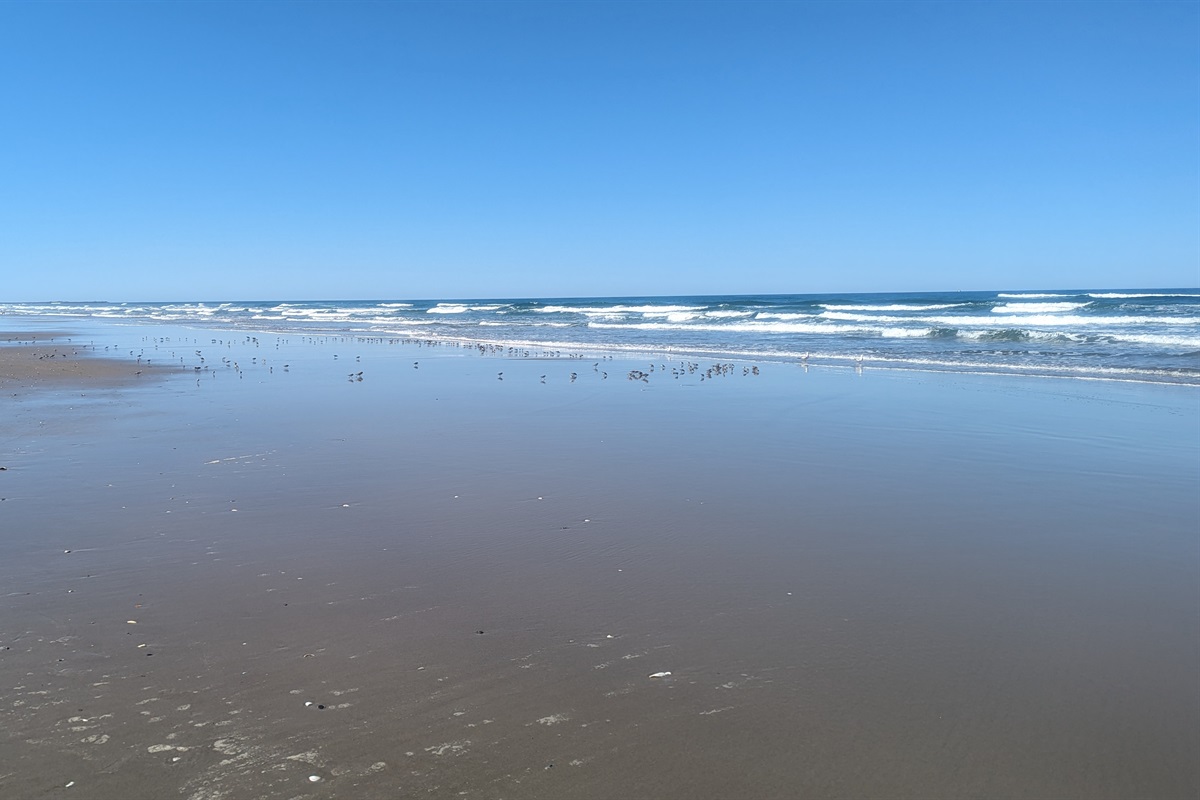 Heceta Beach looking South