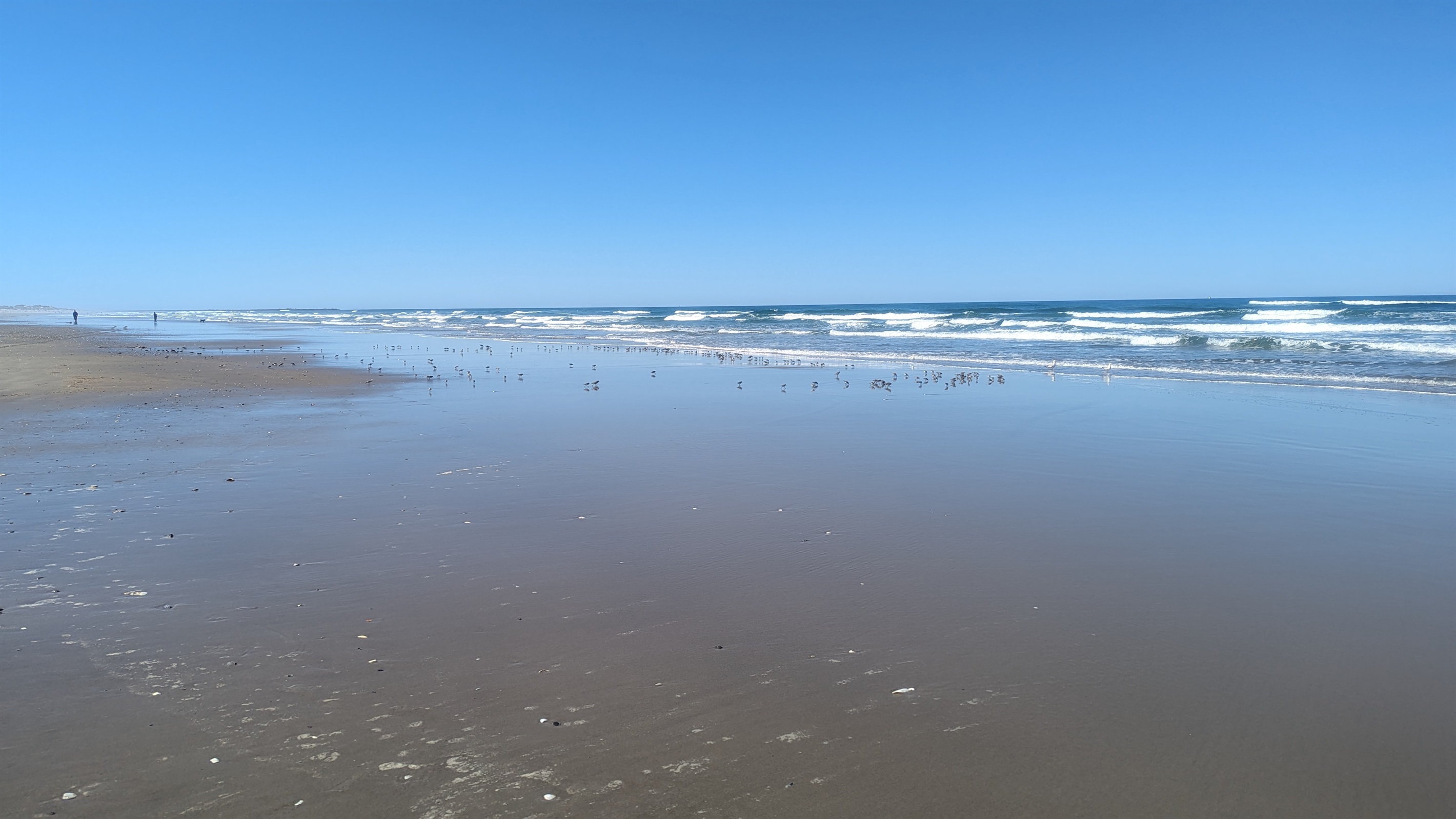 Heceta Beach looking South