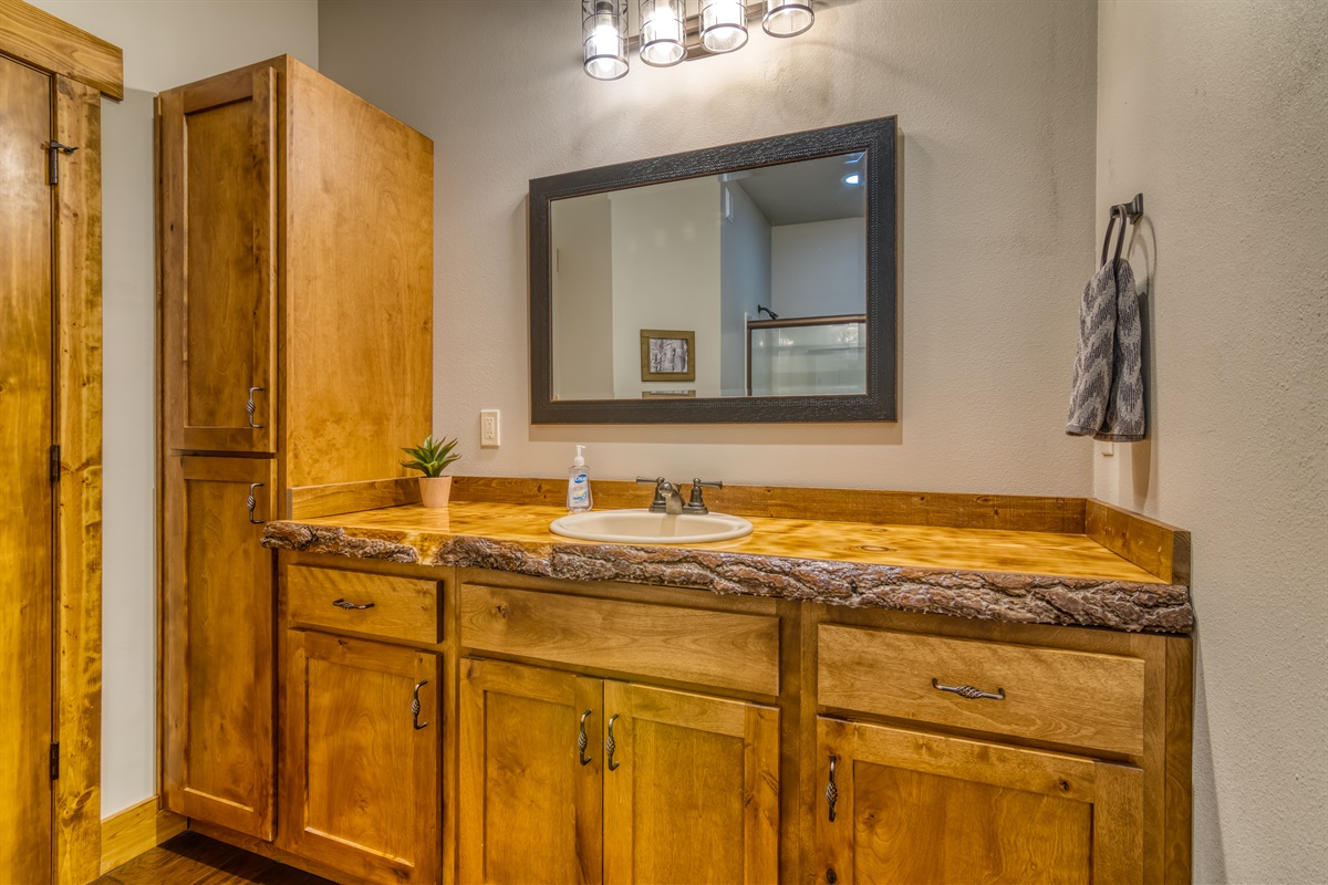 Lower level bathroom