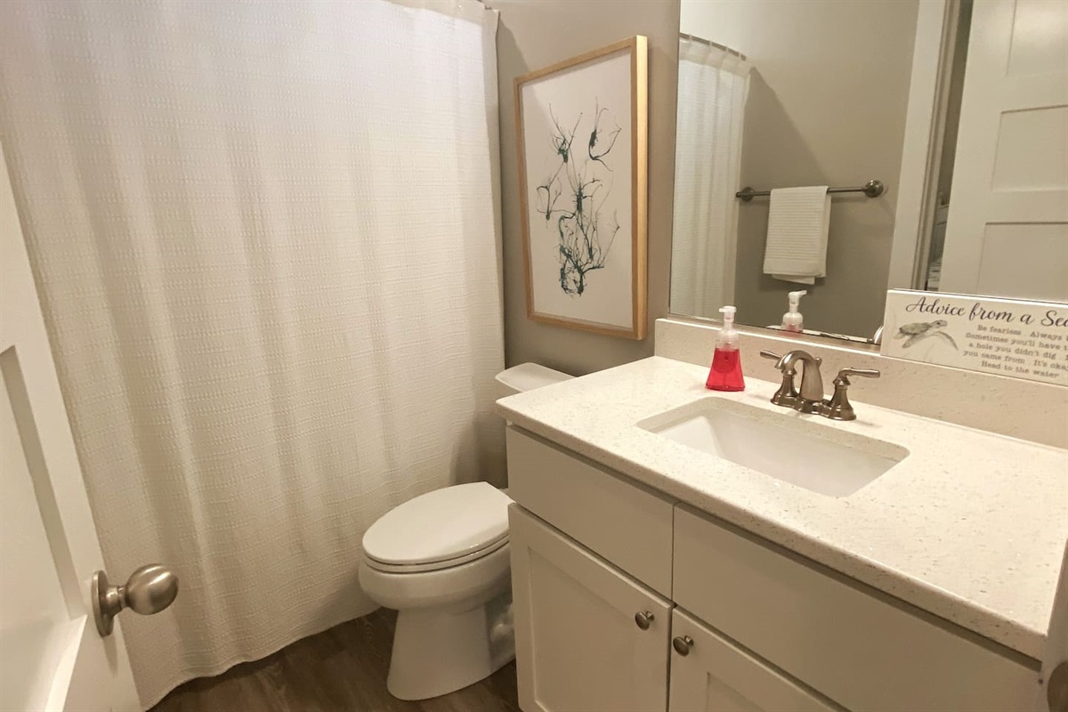 Guest en suite bathroom (hallway accessible)