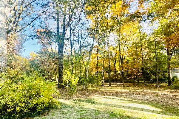 Large backyard with beautiful, old trees 
