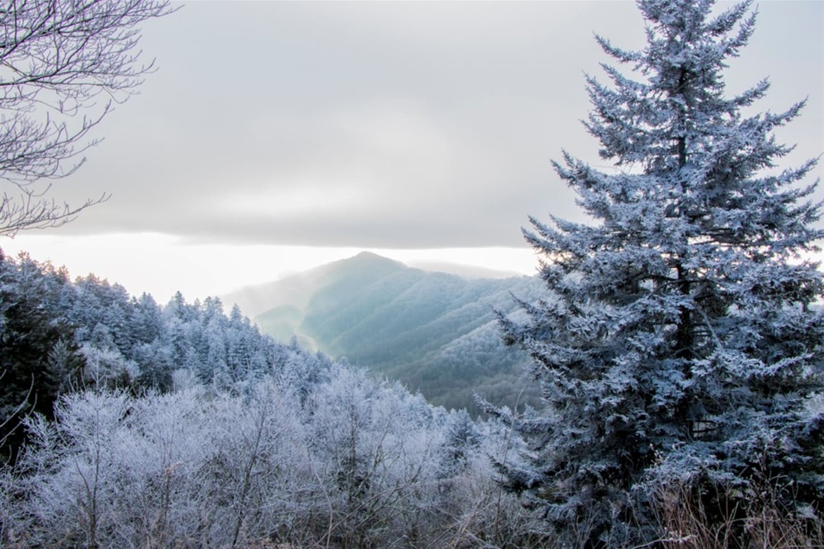 So many seasons to come visit us, Winter is a wonderland.
