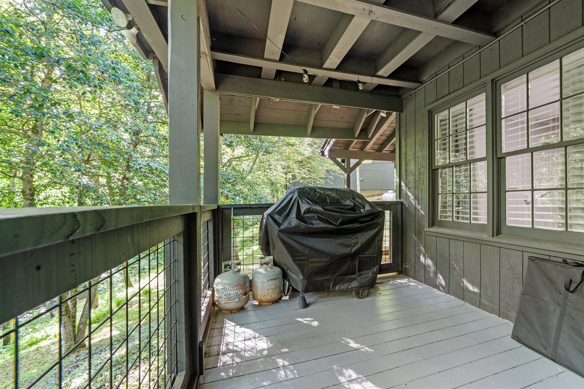 Back porch w/ propane gas grill