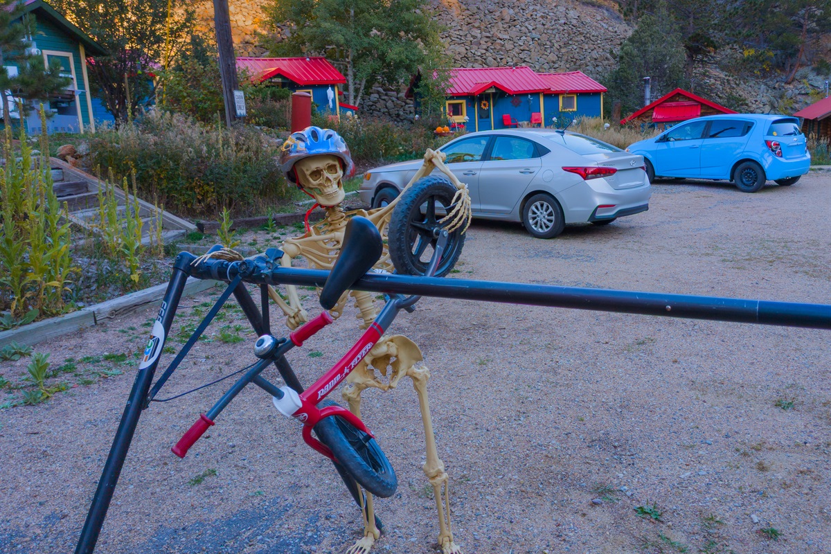 Up for a spooky ride? Enter if you dare...