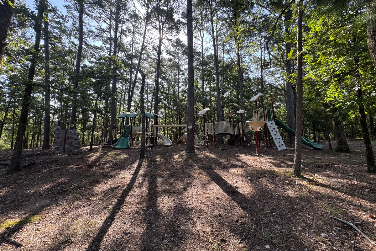 Recreation Area