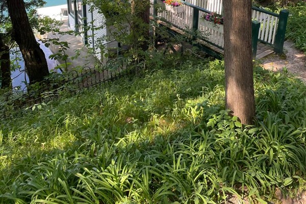 Lush greenery & beautiful plants surround you outside. 