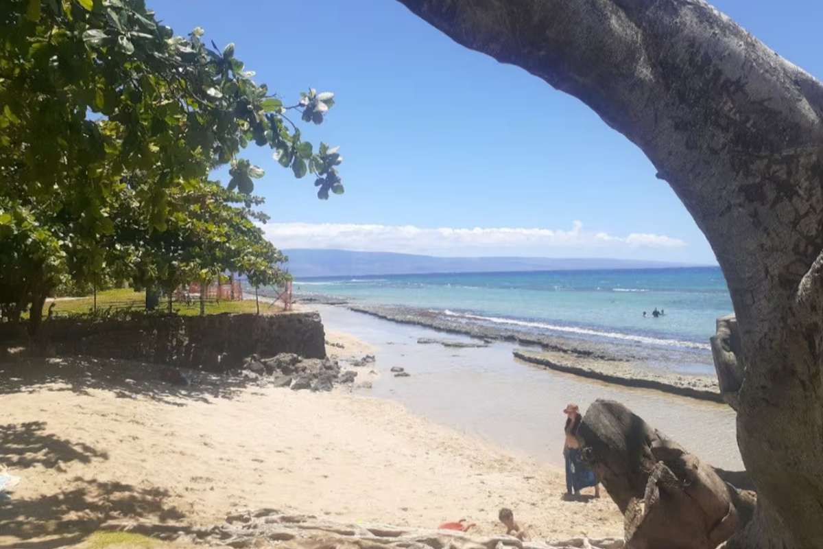 Neighborhood beach park and snorkeling 