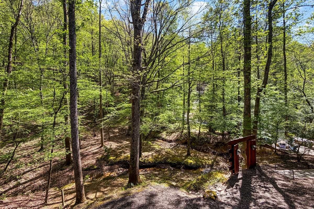 A serene waterfront retreat with stream views. Perfect for rest, restoration, and meaningful moments.