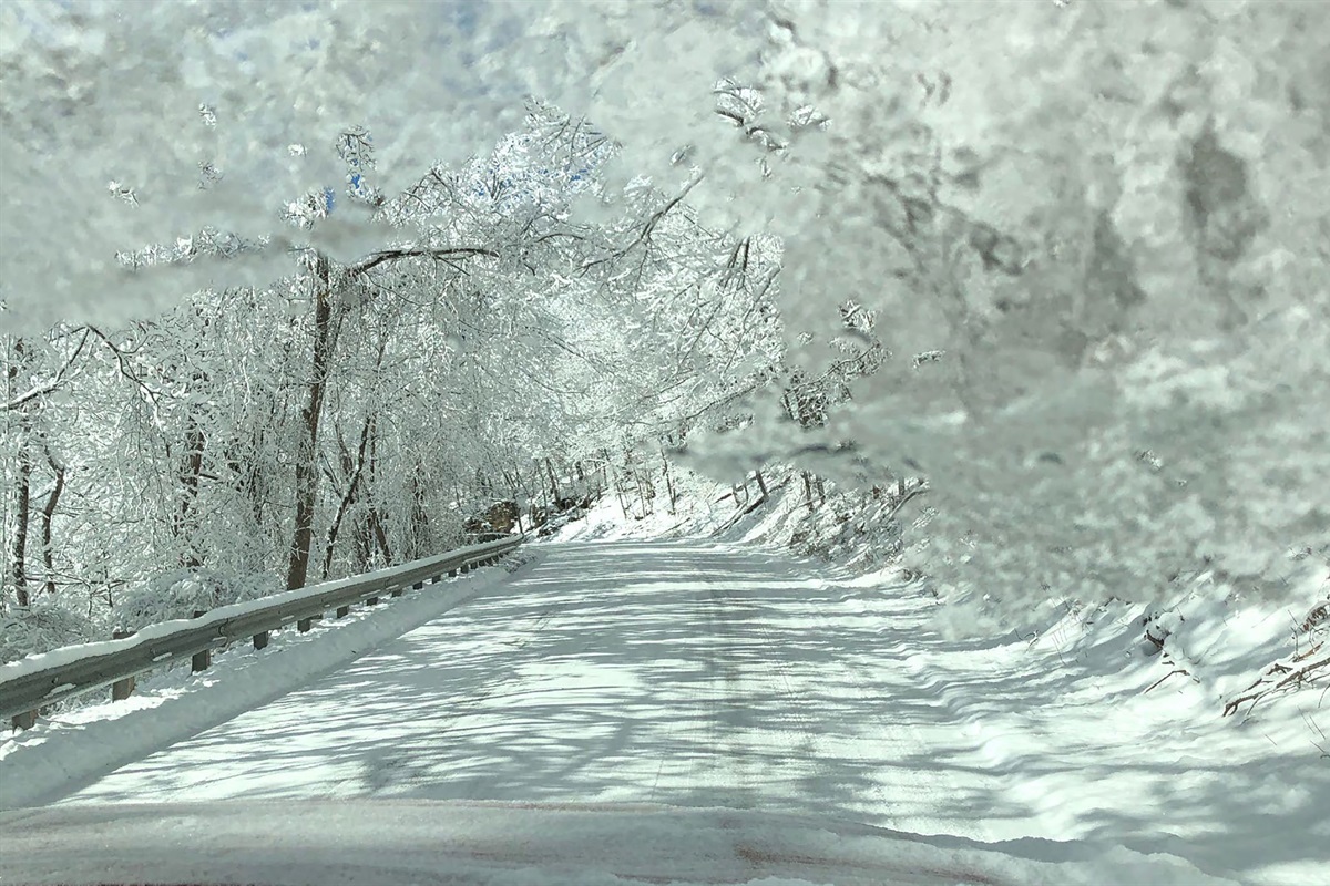 The Ozarks can be a Winter Wonderland, as well. Pic taken on road to lake house