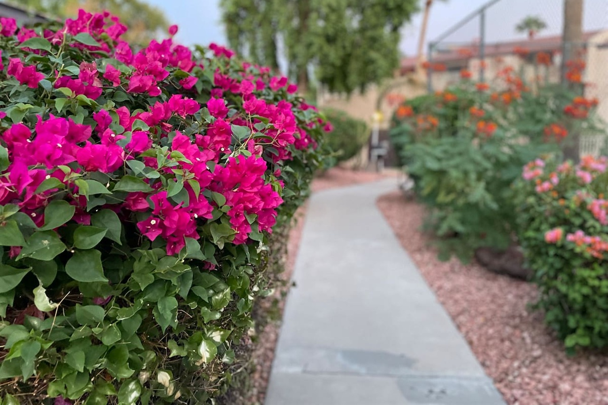 Quiet Desert Getaway with Lake View — Quiet Desert Getaway with Lake View, Phoenix, Arizona — photo 9