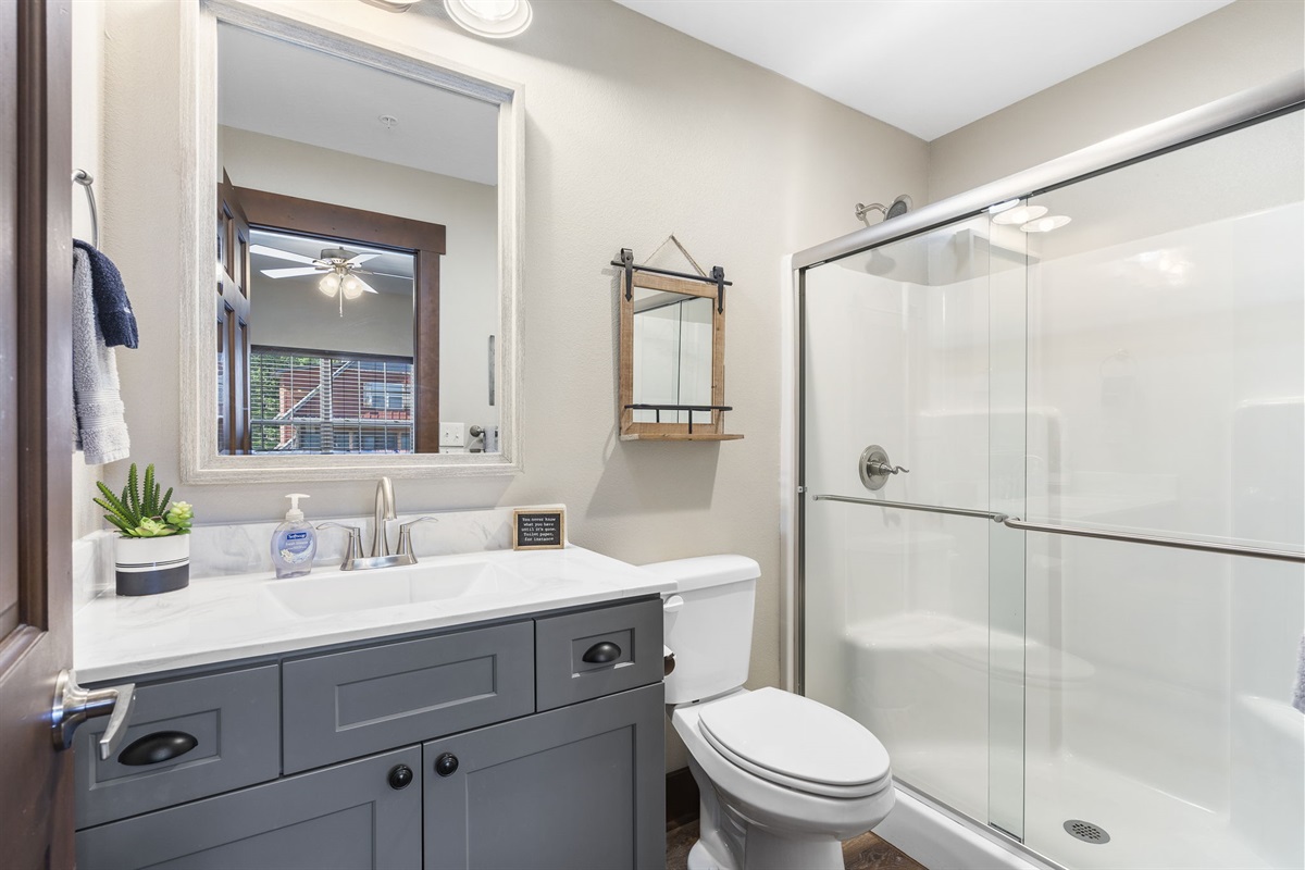 Lower level king bathroom