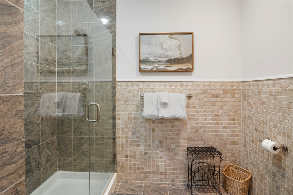 Master Bath Shower