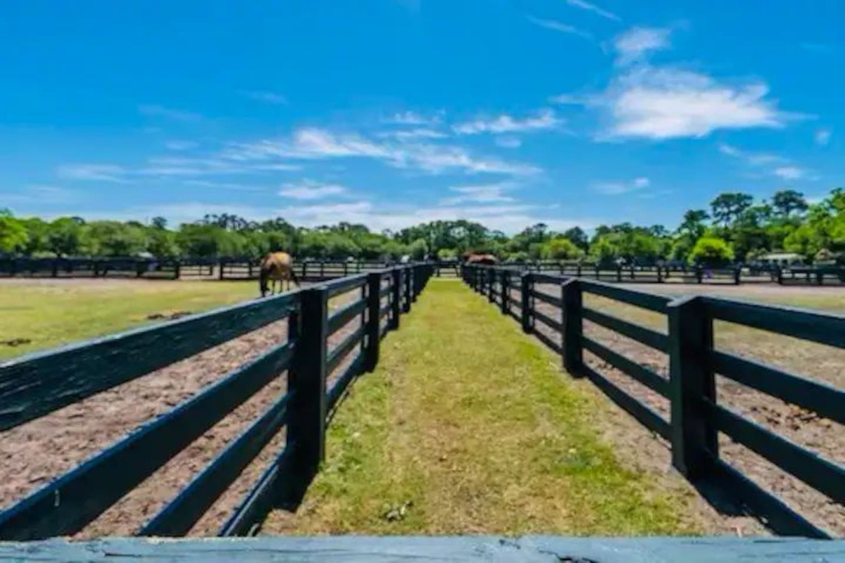 Sea Pines Forest Preserve trail