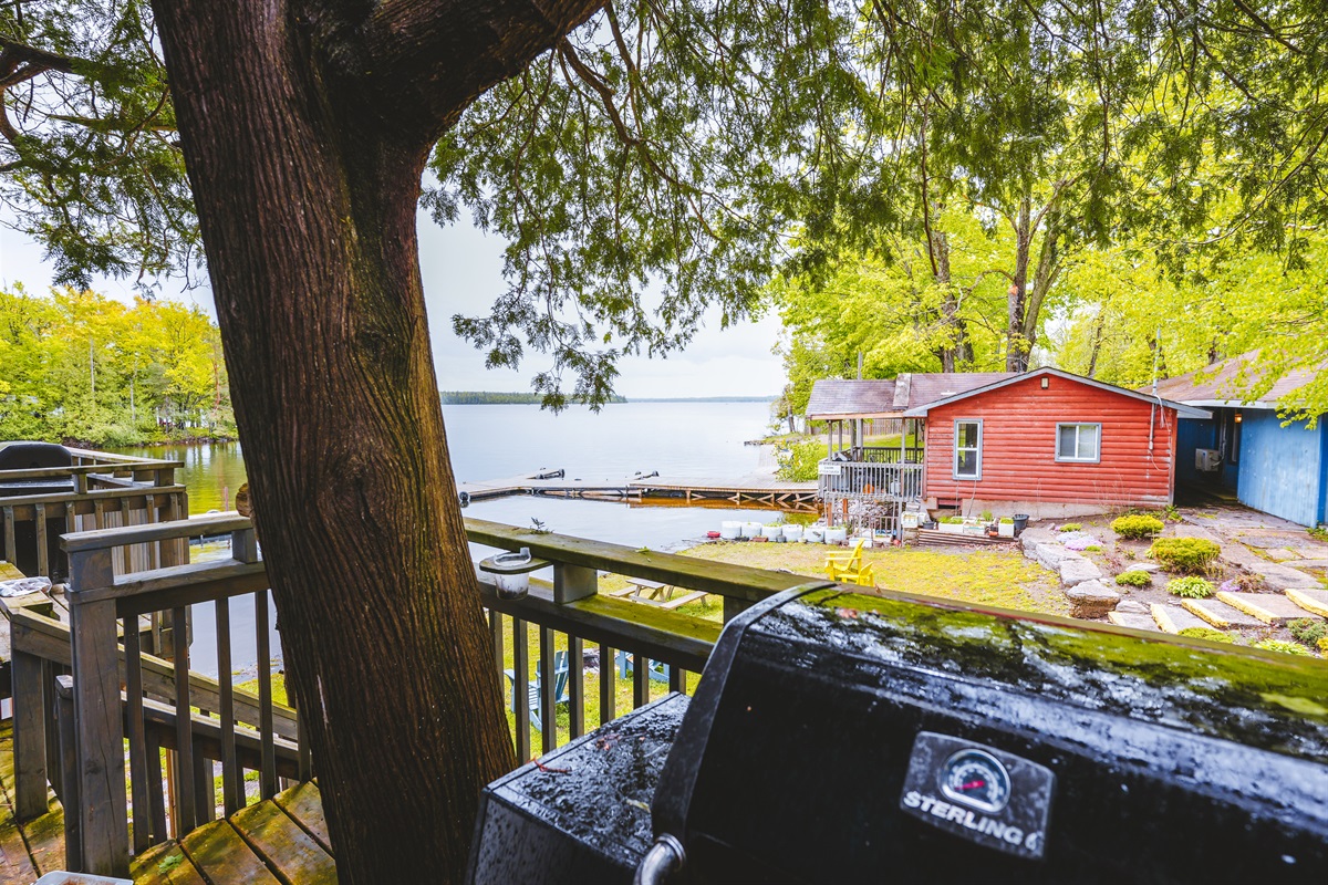 View From Balcony