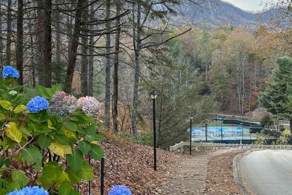 Sidewalk stroll to tennis and pickleball courts