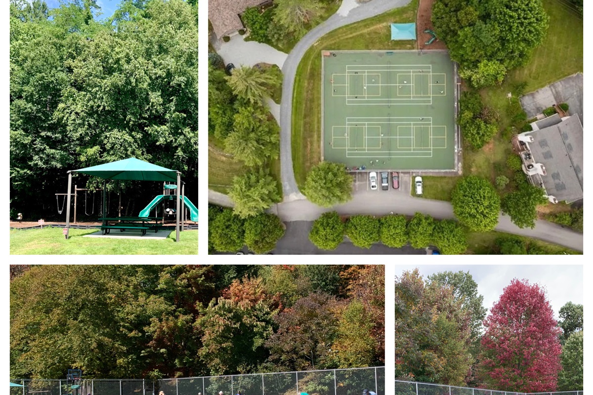 Seven Devils Black Bear Family Park is in walking distance! Play pickleball, tennis, or basketball on the courts, enjoy the children's playground, or have a picnic under the picnic shelters! Bathroom facilities are being planned for future use by the town.