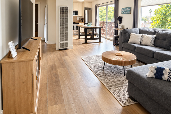 Living room/Kitchen