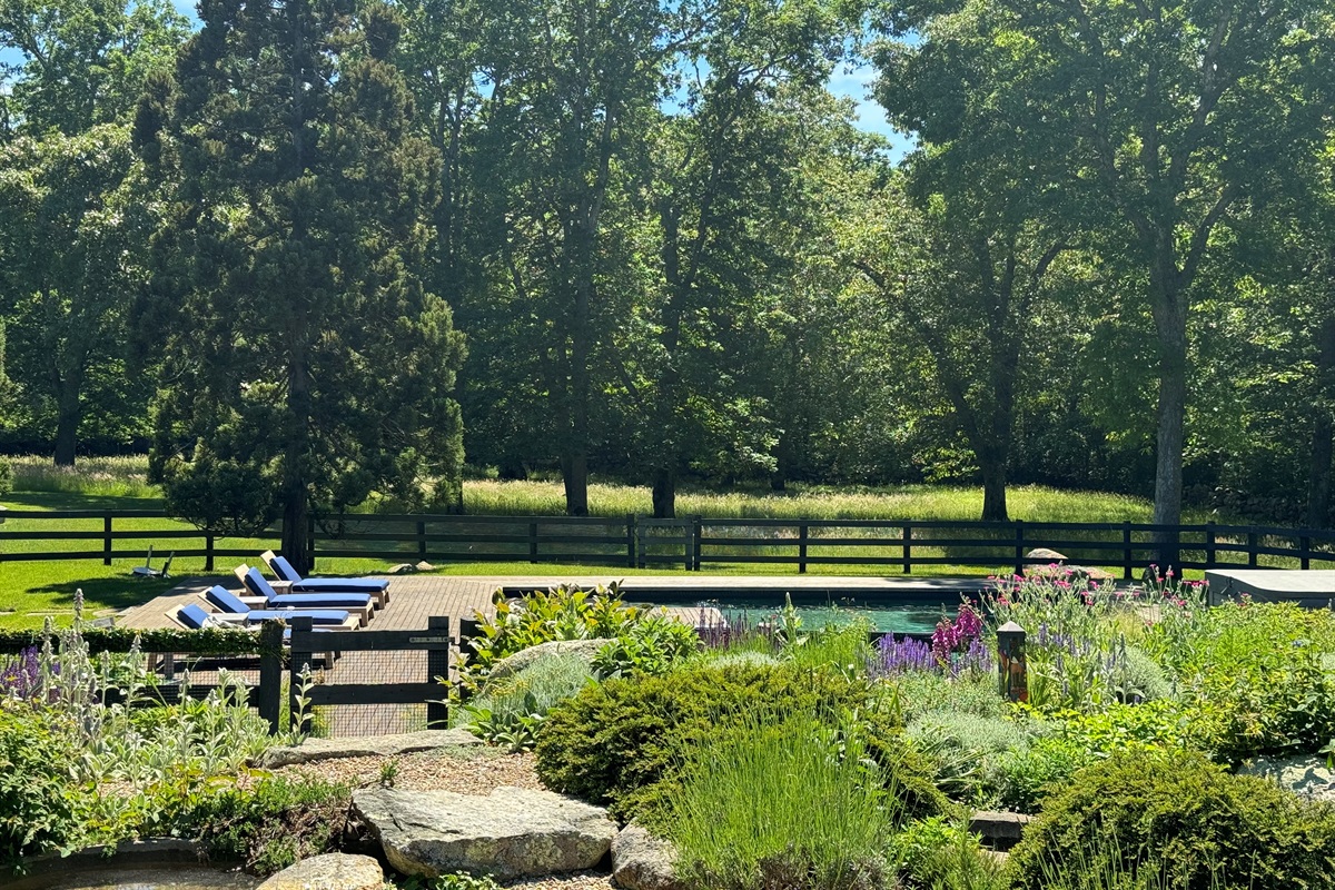 View of the pool and spa area
