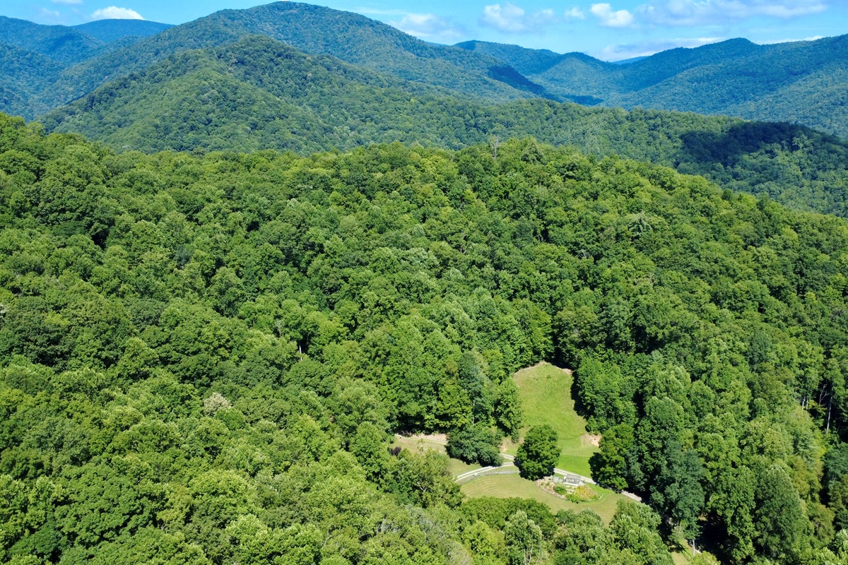 From above: The Cove at Dick Branch, where “quiet” is part of the amenities.