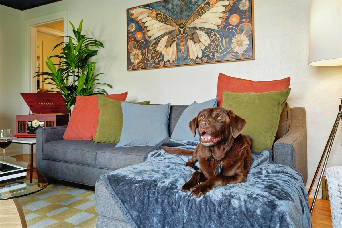 Dog Friendly home!  Dog blankets provided for furniture and beds.