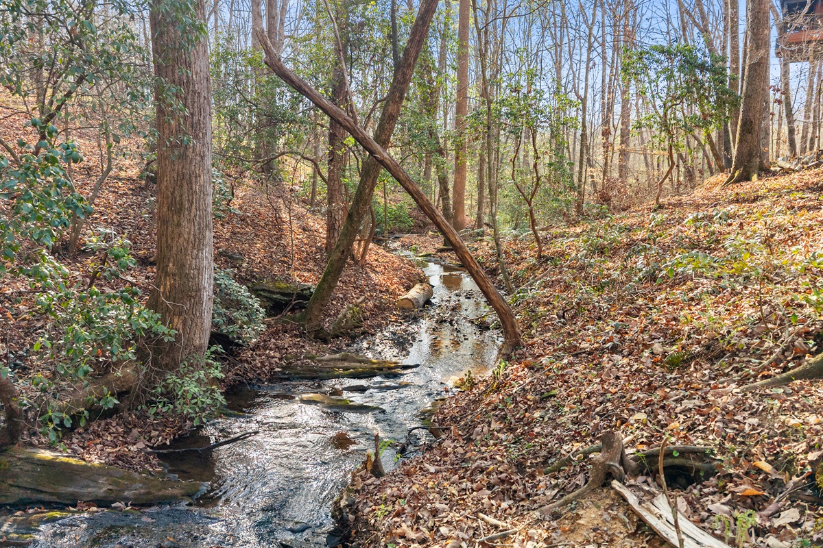 Waterfall creek behind the cabin