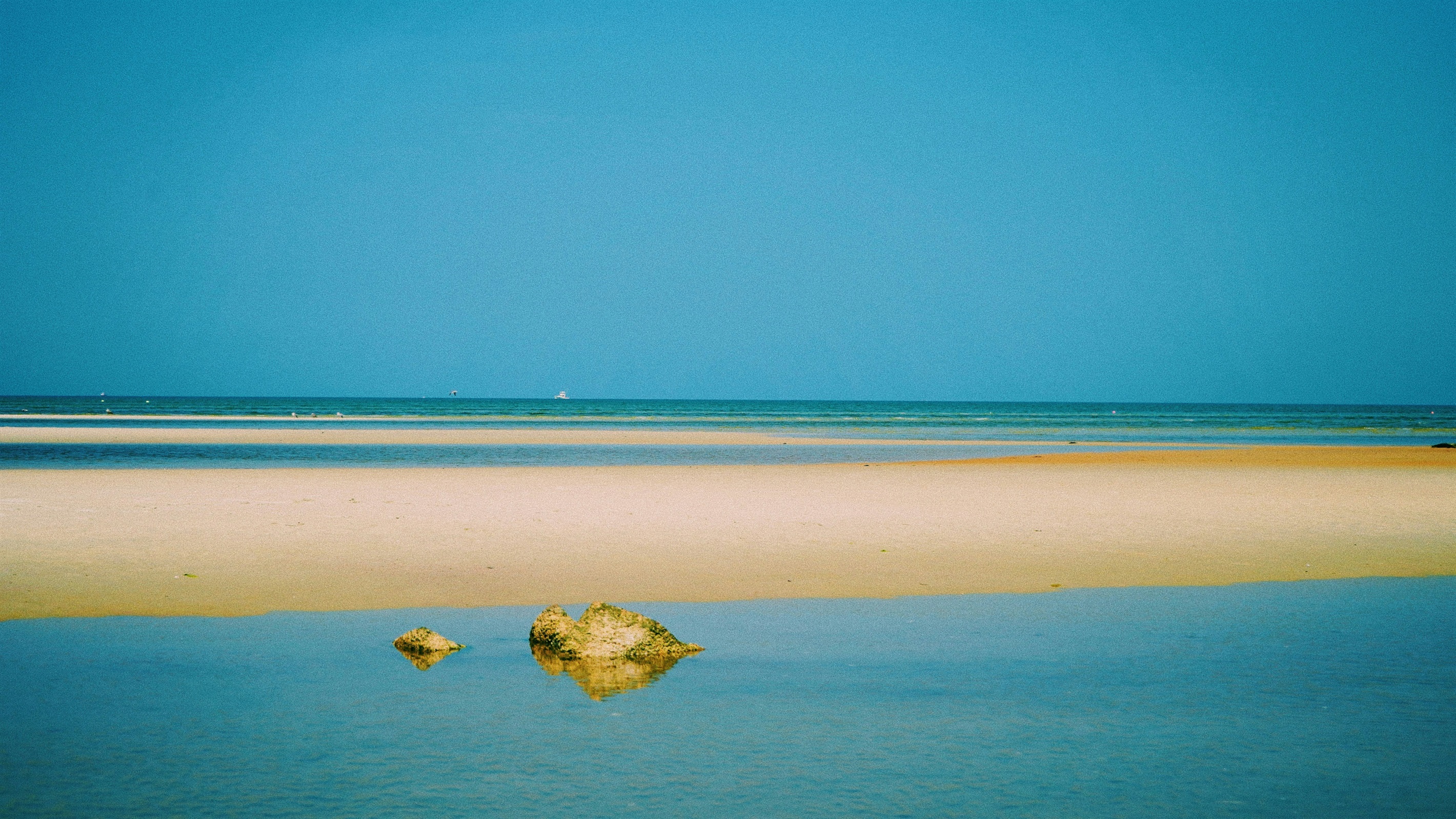 Skaket @ Low Tide, Orleans - photo cred Aidan Patrissi. Guidebook Cape Cod says it's one of the best spots on the Cape to catch a sunset. 