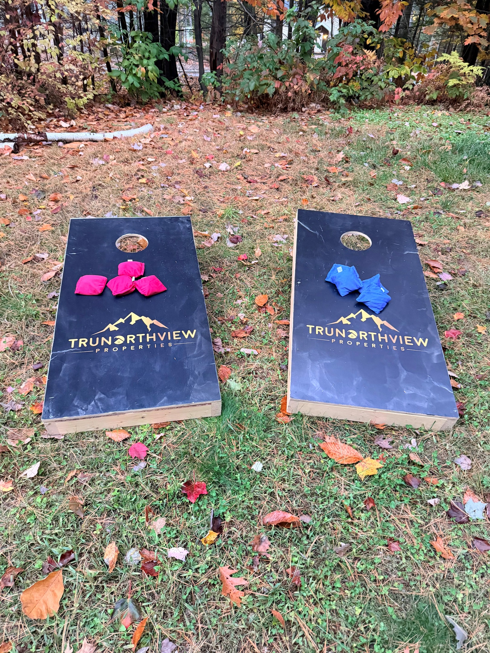 Game of Corn Hole anyone?