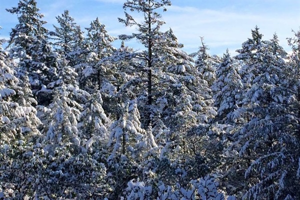 A beautiful view in any season