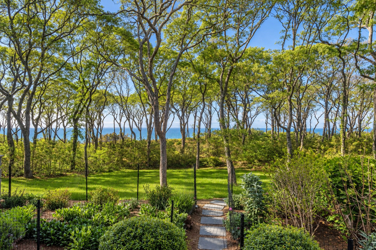 Path toward the Sound