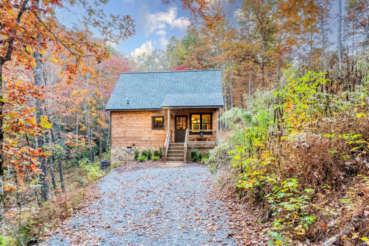 Nestled in nature's embrace, our cabin exudes rustic beauty.