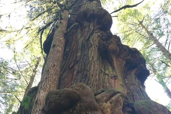 Looking up from the base
