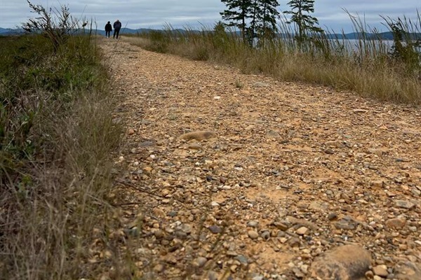 Explore scenic hiking trails around Broken Bow Lake