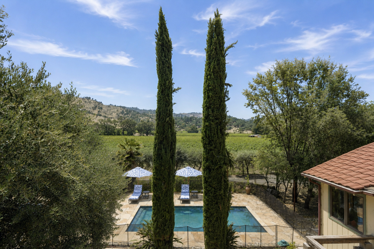 Vineyard views from the property